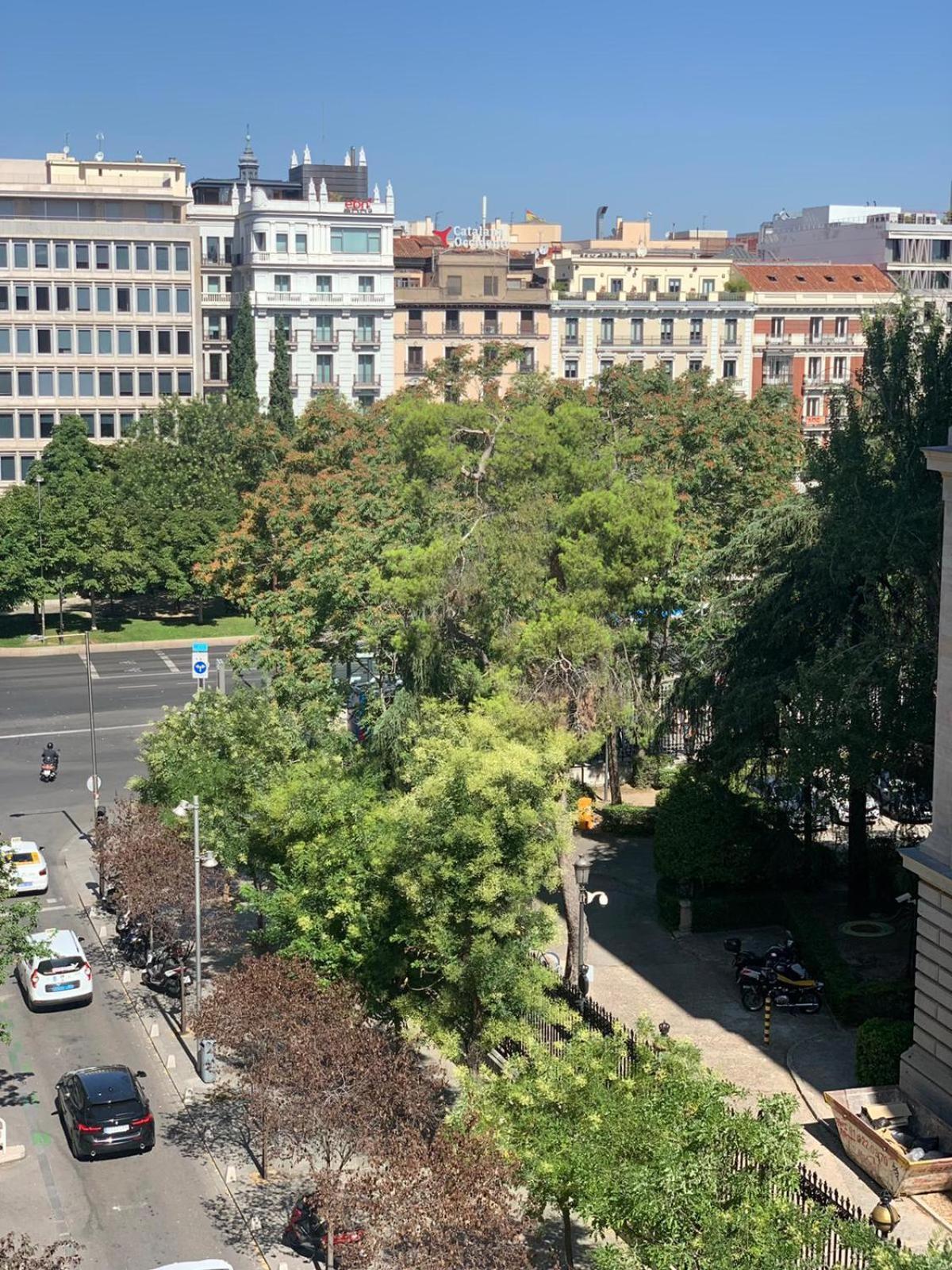 Luxury Studio Retiro Park & Prado Museum Madrid Luaran gambar
